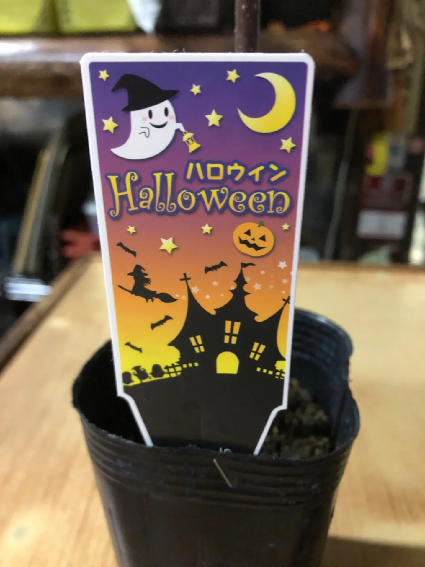 10月と言えば｡｡｡🎃
