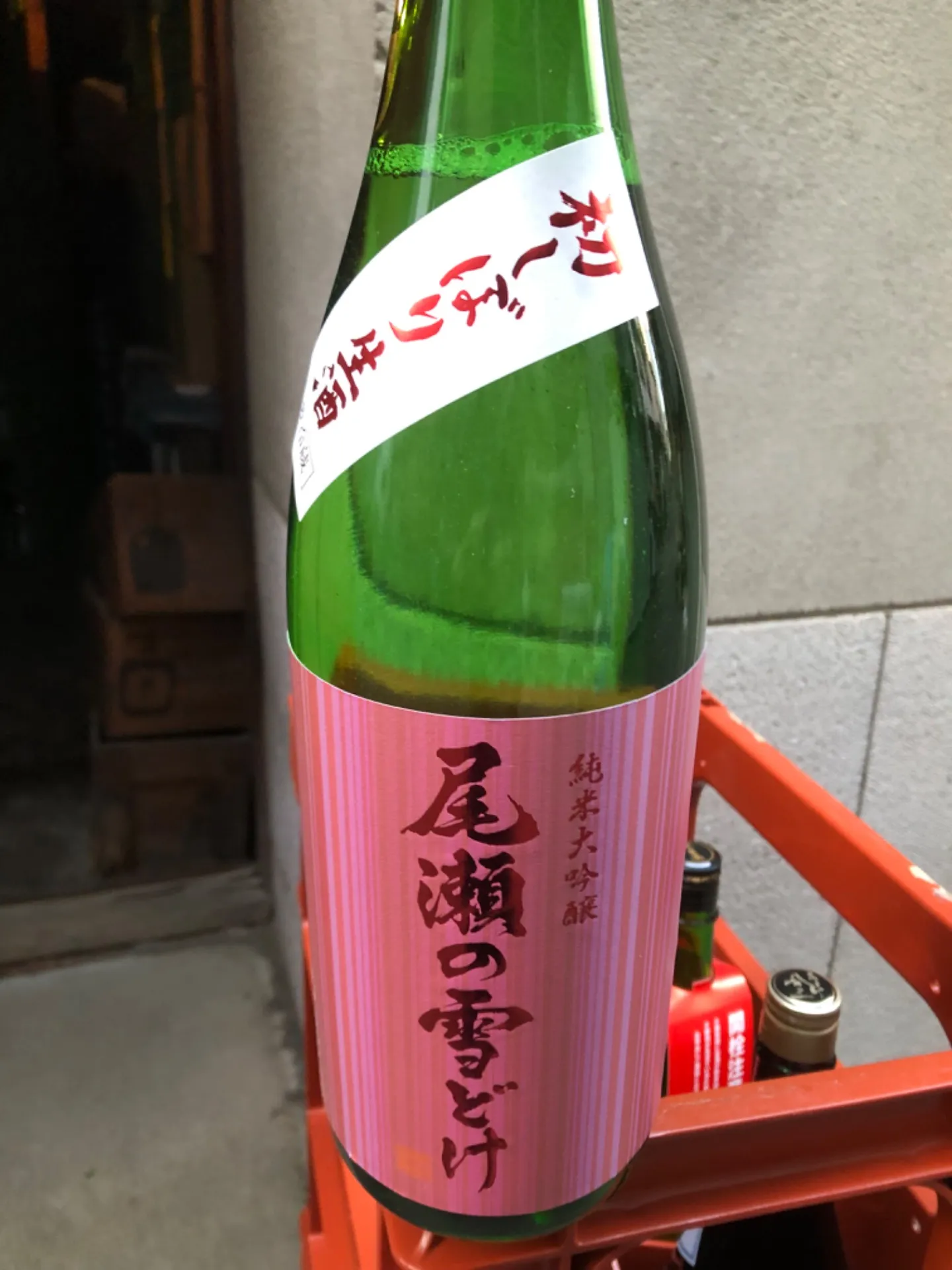 群馬県 龍神酒造 尾瀬の雪どけ 初しぼり生酒 純米大吟醸 1800ml