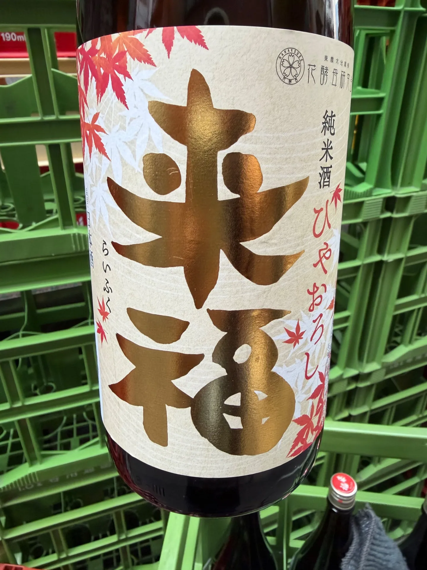 茨城県　来福酒造　来福　純米酒　ひやおろし    1800ml 
